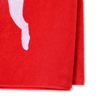 TEAM Towel Large (70x140)