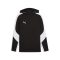 teamEVOSTRIPE Hoody
