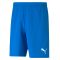 teamRISE Short Mérkőzés nadrág