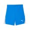 teamLIGA26 Shorts
